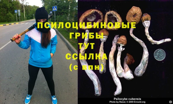 бошки Алексеевка