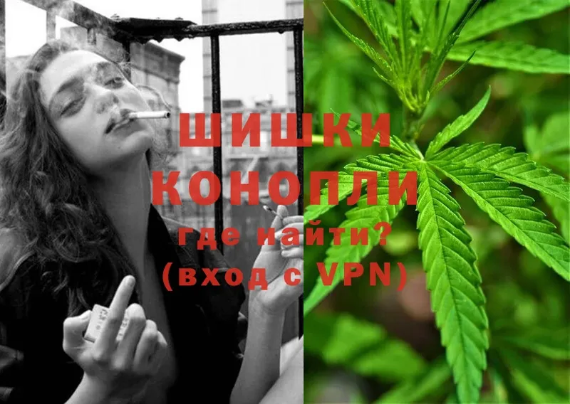 МАРИХУАНА SATIVA & INDICA  закладка  Грязовец 